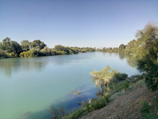 Μέλυδρον - Καφετέρια