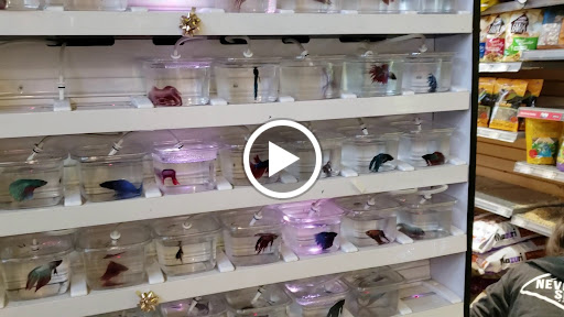 Pet Store «Critter Cabana - Wilsonville», reviews and photos, 8406 SW Main St #200, Wilsonville, OR 97070, USA