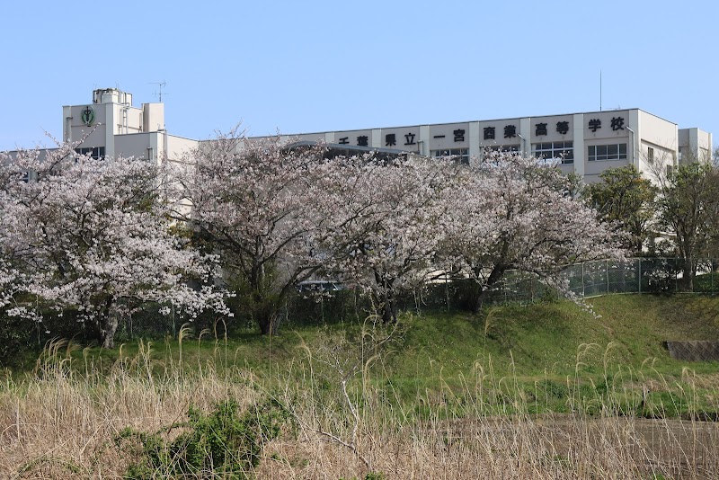 千葉県立一宮商業高等学校