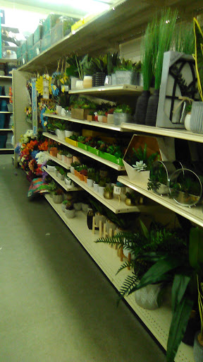 Discount Store «Big Lots», reviews and photos, 888 Green Blvd, Aurora, IN 47001, USA