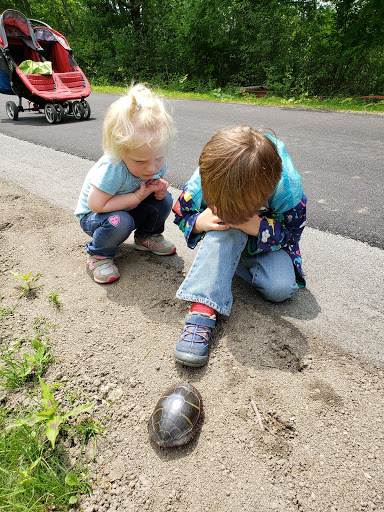 Fabric Store «Jo-Ann Fabrics and Crafts», reviews and photos, 436 Broadway, Methuen, MA 01844, USA