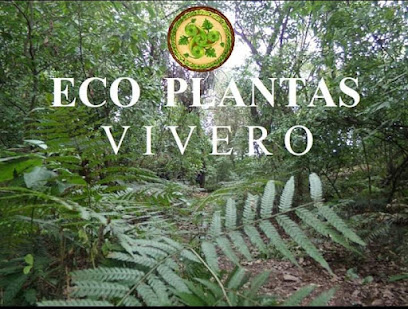 Eco Plantas