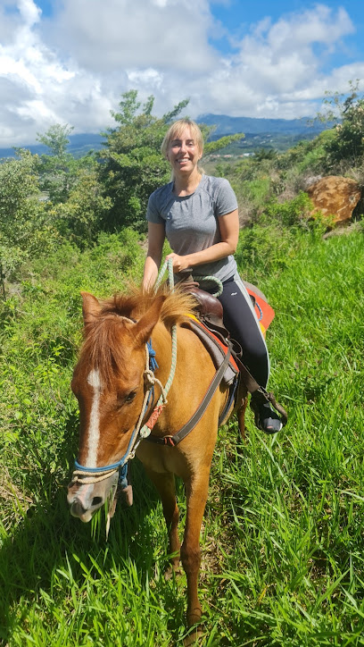 Servicio de paseo a caballo