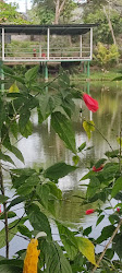 Laguna Julio Marín