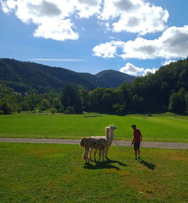 Savoir Terre Vosges à Saint-Maurice-sur-Moselle