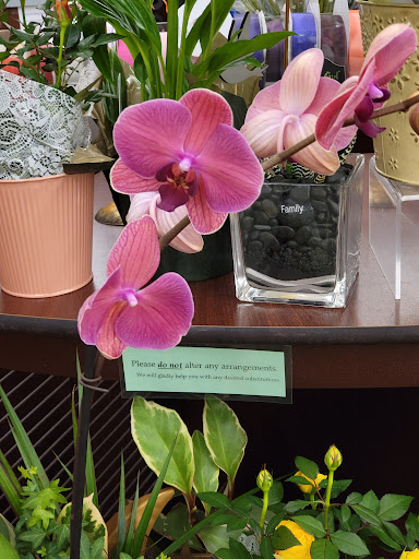 Grocery Store «Albertsons», reviews and photos, 19500 WA-99 Suite 110, Lynnwood, WA 98036, USA