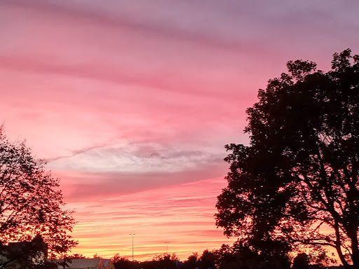 Department Store «Walmart Supercenter», reviews and photos, 939 N Dupont Blvd, Milford, DE 19963, USA