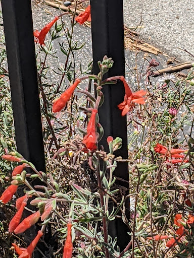 Building Materials Store «ProBuild», reviews and photos, 235 River St, Santa Cruz, CA 95060, USA