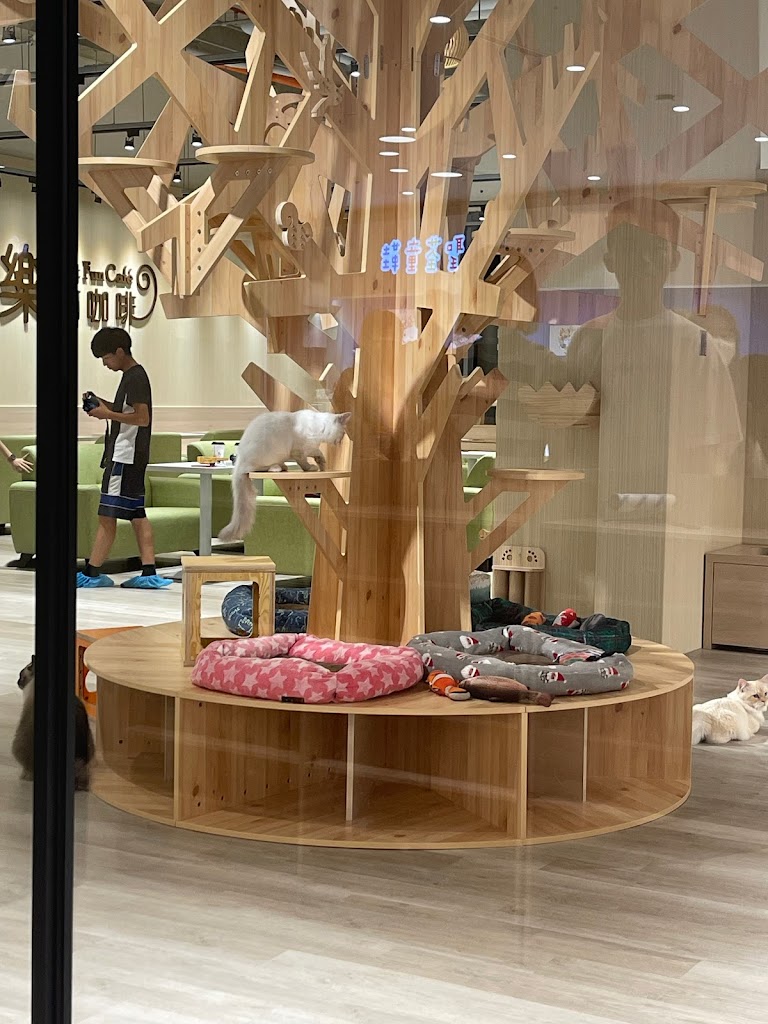 貓樂貓咖啡 LaLaport 台中店 的照片