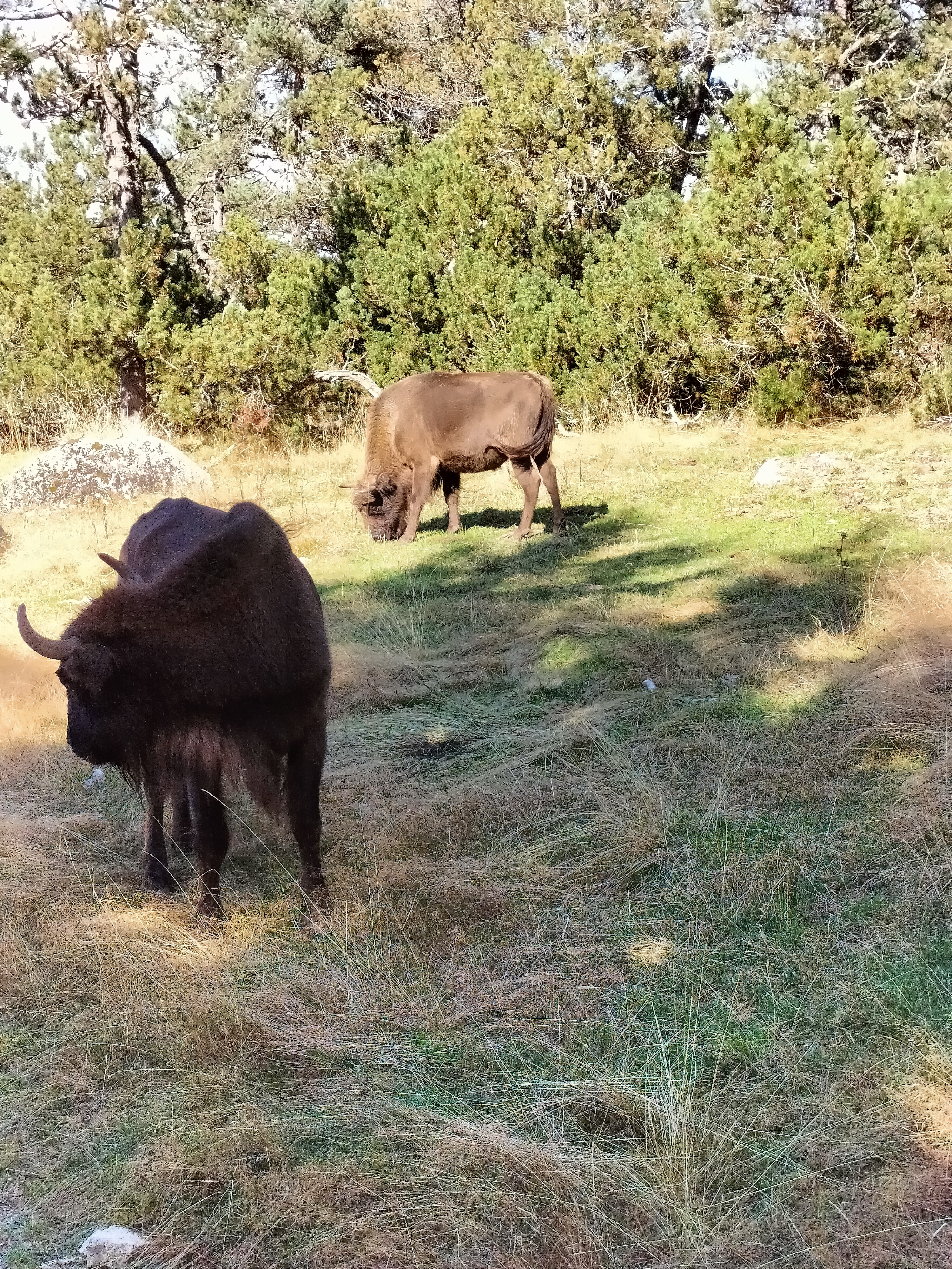 Photo n° 1 de l'avis de Philippe.u fait le 24/09/2023 à 19:05