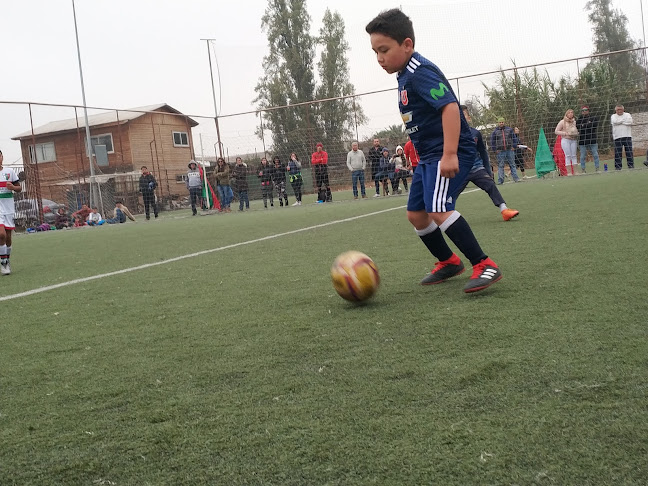 Escuela de Fútbol Universidad de Chile La Pintana - Escuela