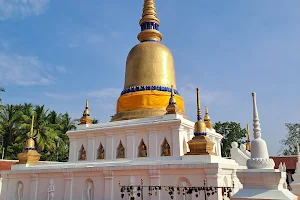 Wat Phra Borommathat Sawi image