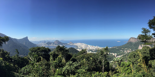 Jungle Me - Hiking and Trekking in Rio de Janeiro