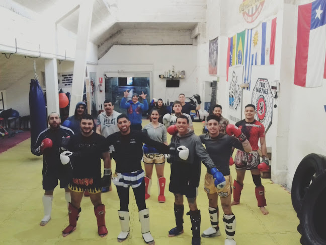 Opiniones de Dojo Nitro Team en Montevideo - Gimnasio