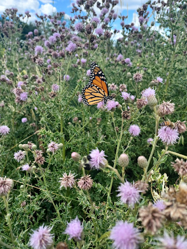 Winery «Sweetgrass Farm Winery and Distillery», reviews and photos, 347 Carroll Rd, Union, ME 04862, USA