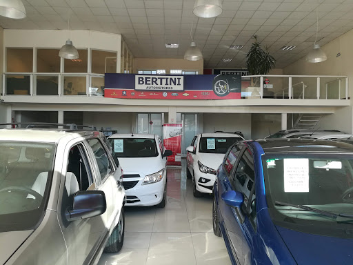 Bertini Autos