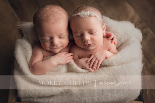 Molly Shields Photography