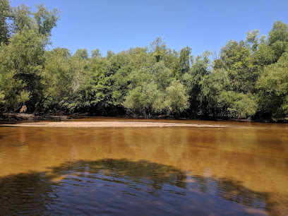 Tattnall Landing