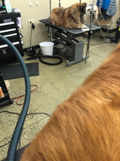 Pet Supply Store «Pet Supplies Plus», reviews and photos, 720 Hoosick Rd, Troy, NY 12180, USA