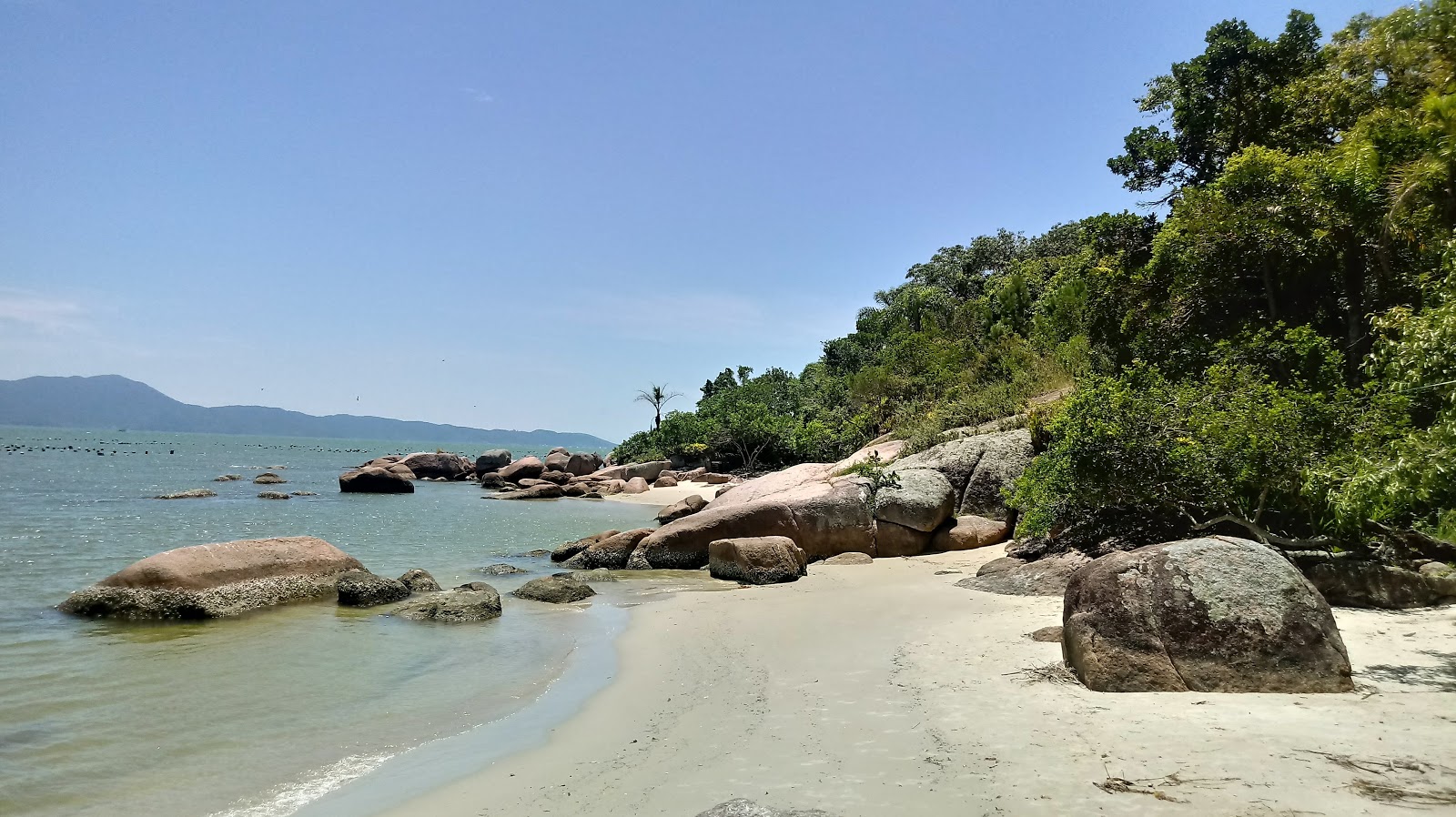 Photo de Prainha de Ganchos de Fora II avec un rivage droit