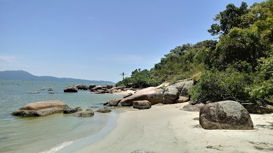 Prainha de Ganchos de Fora II