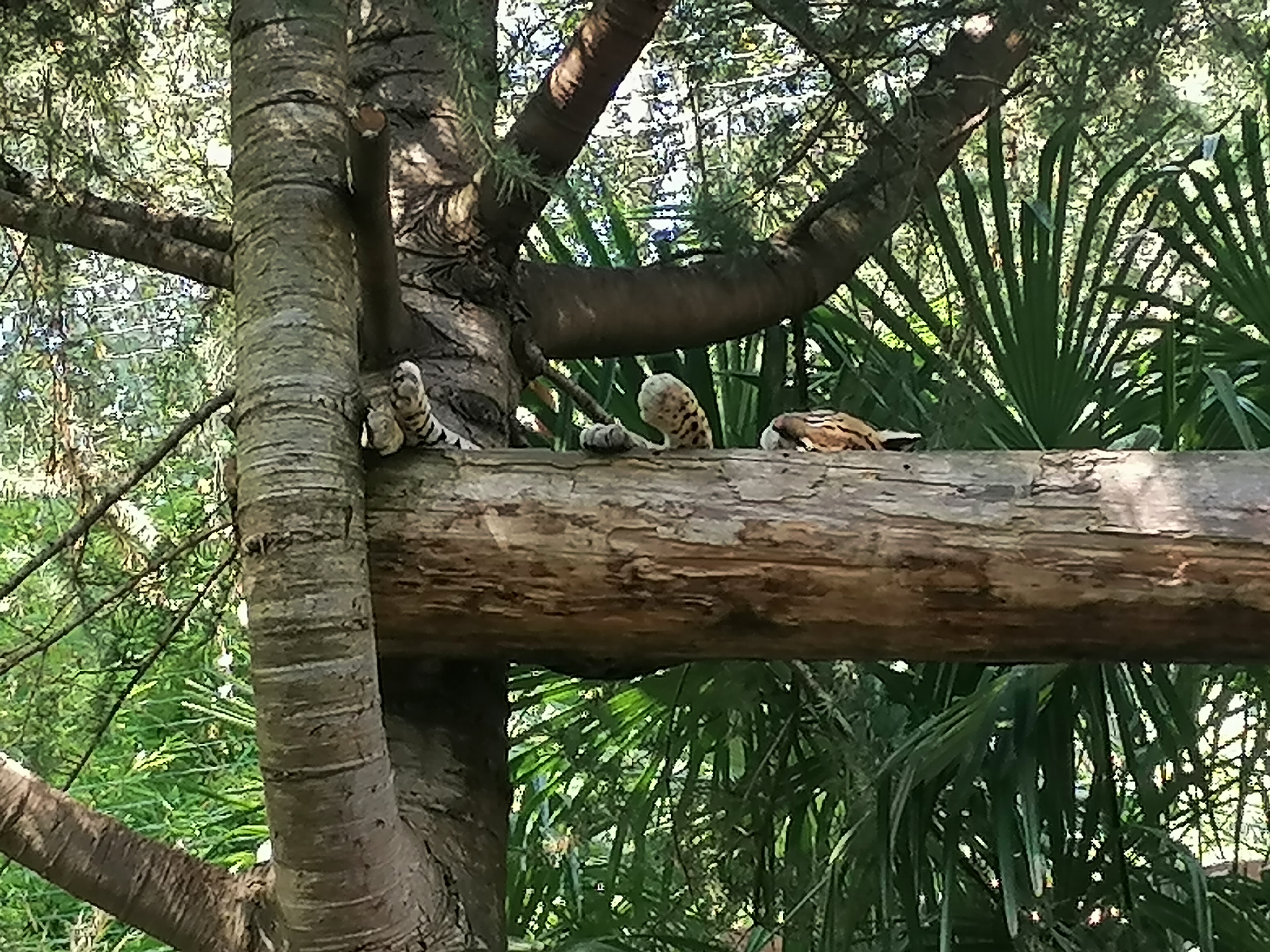 Photo n° 14 de l'avis de Gilles.. fait le 23/08/2023 à 12:57