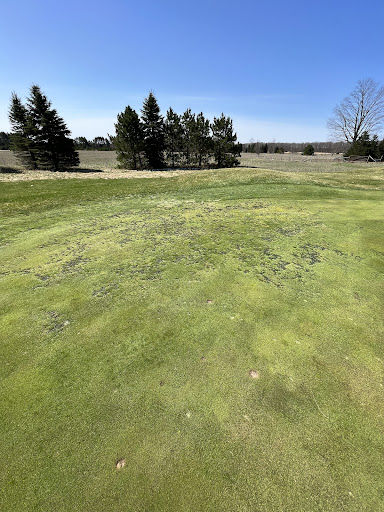 Golf Course «Mistwood Golf Course», reviews and photos, 7568 Ole White Dr, Lake Ann, MI 49650, USA