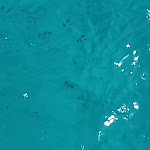 Photo n°1 de l'avis de colette.a fait le 29/09/2019 à 22:34 sur le  Club Marmara Cala Fiorita à Budoni