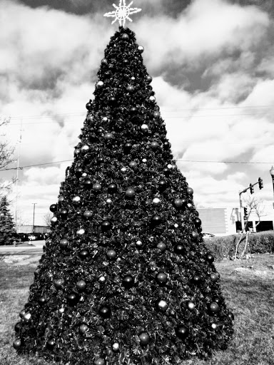 Grocery Store «KD Market», reviews and photos, 9500 Irving Park Rd, Schiller Park, IL 60176, USA