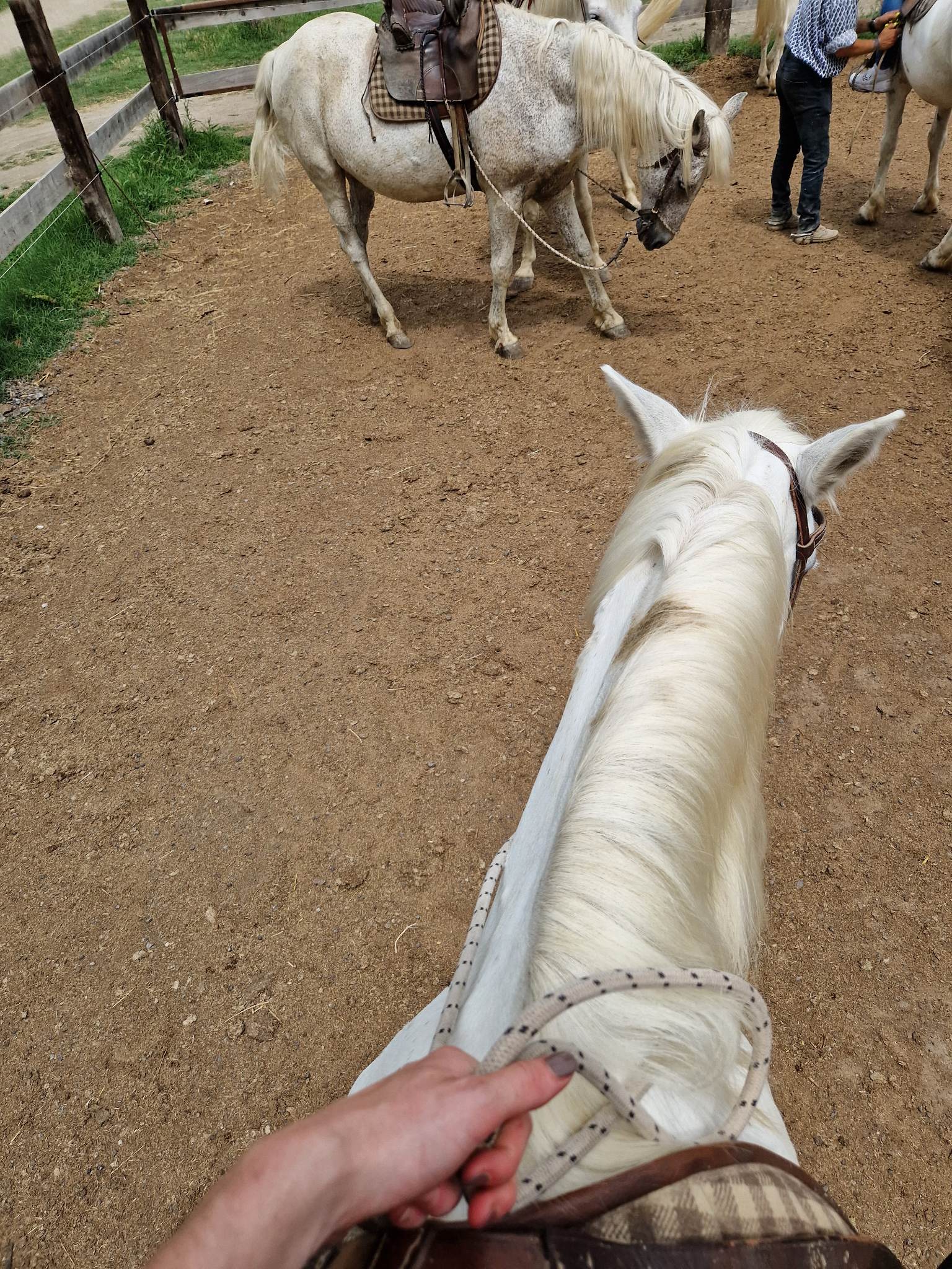 Photo n° 4 de l'avis de Lucie.a fait le 22/06/2023 à 14:05