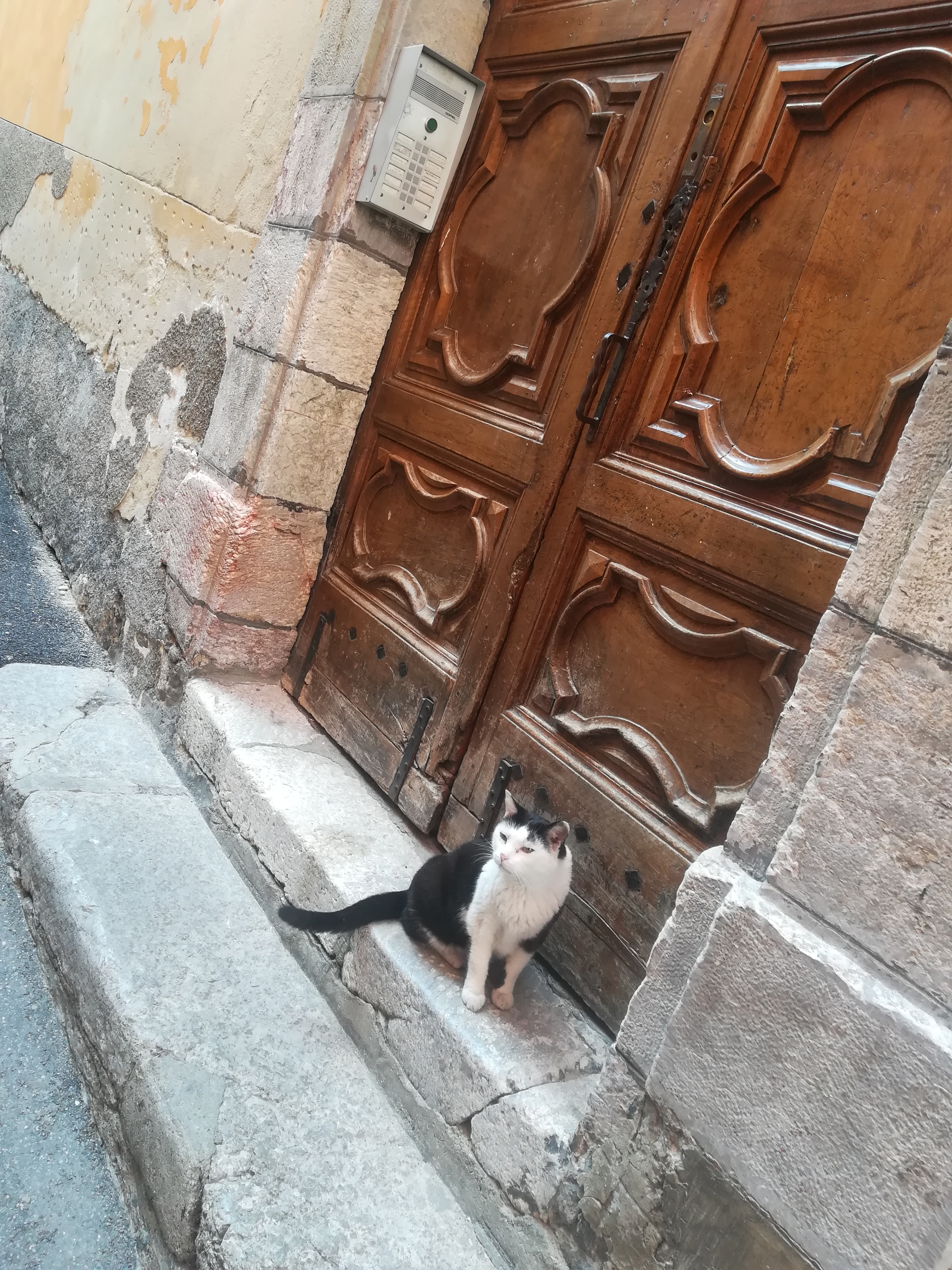 Photo n° 4 de l'avis de Simona.r fait le 21/08/2018 à 19:58