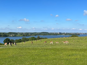 Haderslev Dyrehaven