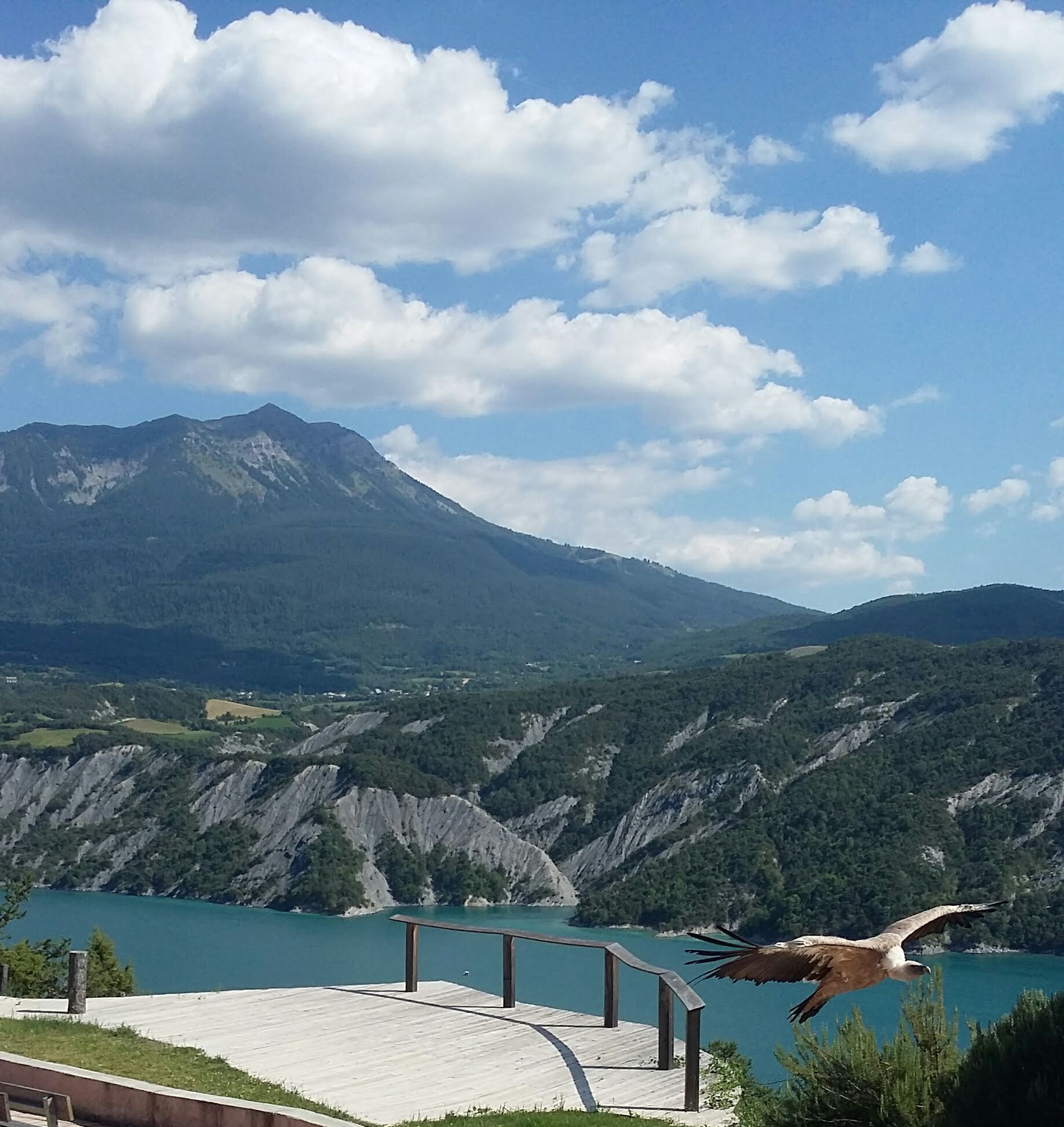 Photo n° 2 de l'avis de Caroline.r fait le 22/07/2019 à 11:14