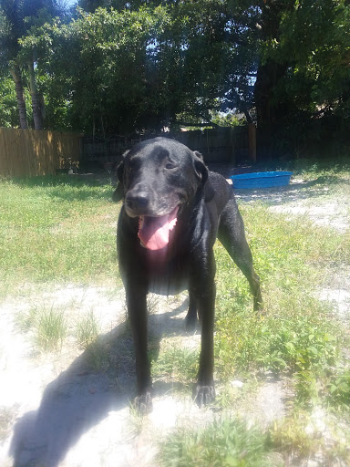 Pet Supply Store «Petco Animal Supplies», reviews and photos, 1009 E Commercial Blvd, Oakland Park, FL 33334, USA