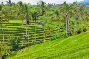 Jatiluwih Rice Terraces image