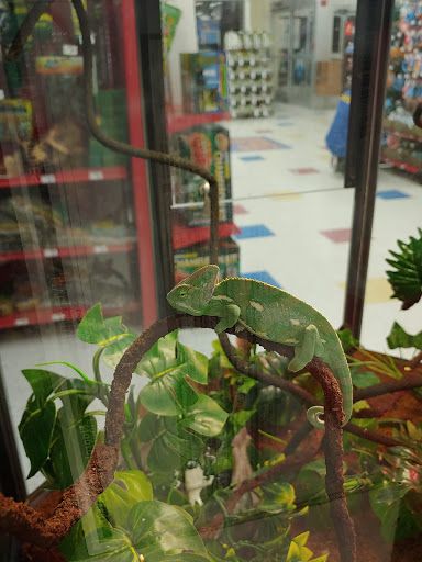 Pet Supply Store «Petco Animal Supplies», reviews and photos, 2373 W Ridge Rd, Greece, NY 14626, USA