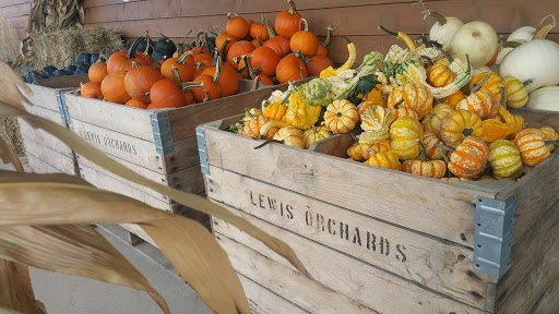 Moving and Storage Service «My Space Office & Storage», reviews and photos, 1657 S Getty St, Muskegon, MI 49442, USA