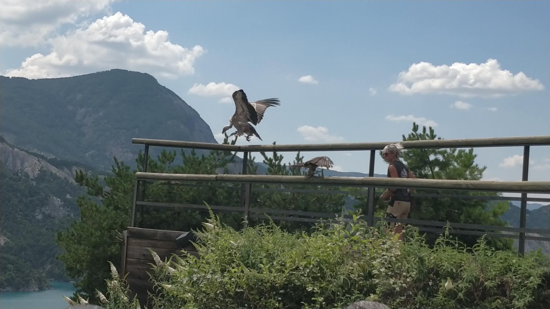 Photo n° 4 de l'avis de Sylvain.e fait le 02/08/2018 à 06:25