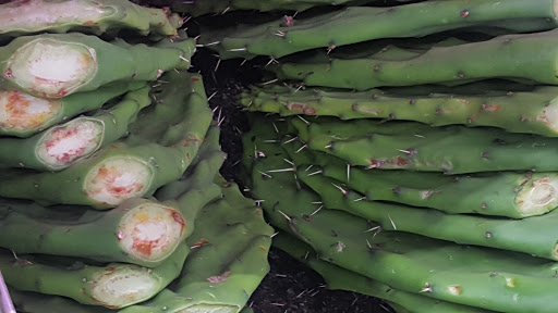 Supermarket «J CITY SUPERMARKET», reviews and photos, 148-05 Jamaica Ave, Jamaica, NY 11435, USA