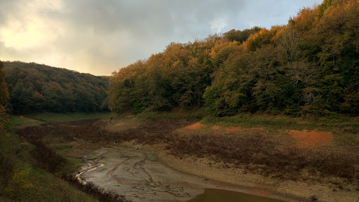 Bentler National Park