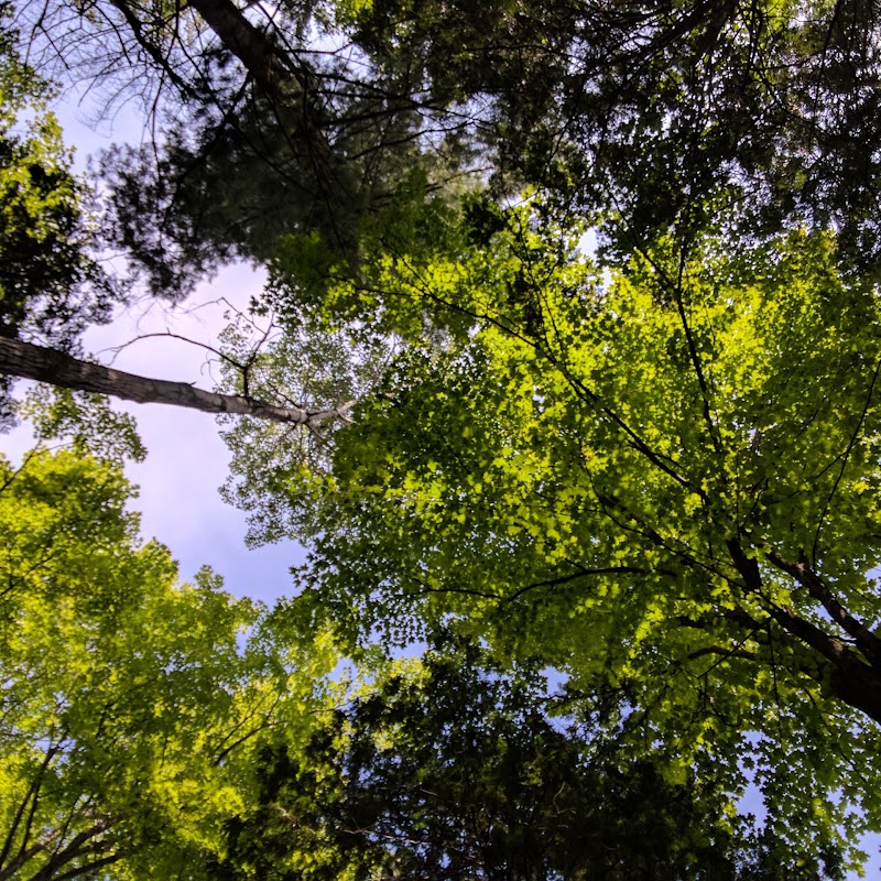 Parc de la Forêt-Boucher