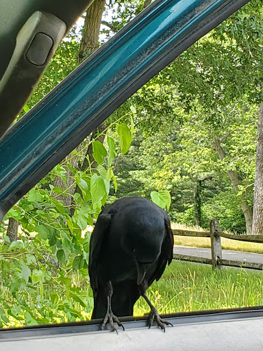 State Park «Bethpage State Park», reviews and photos, 99 Quaker Meeting House Rd, Farmingdale, NY 11735, USA