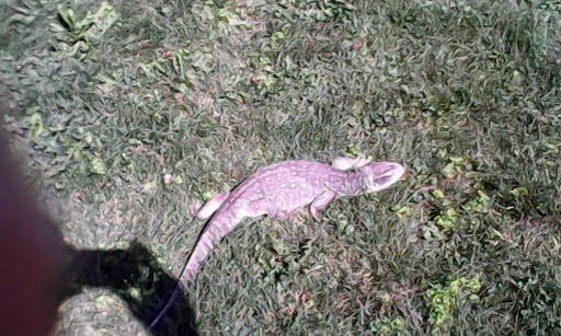 Pet Supply Store «Pet Supplies Plus», reviews and photos, 1213 Mentor Ave, Painesville, OH 44077, USA