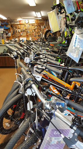 Bike Brothers, 139 Boices Ln, Kingston, NY 12401, USA, 