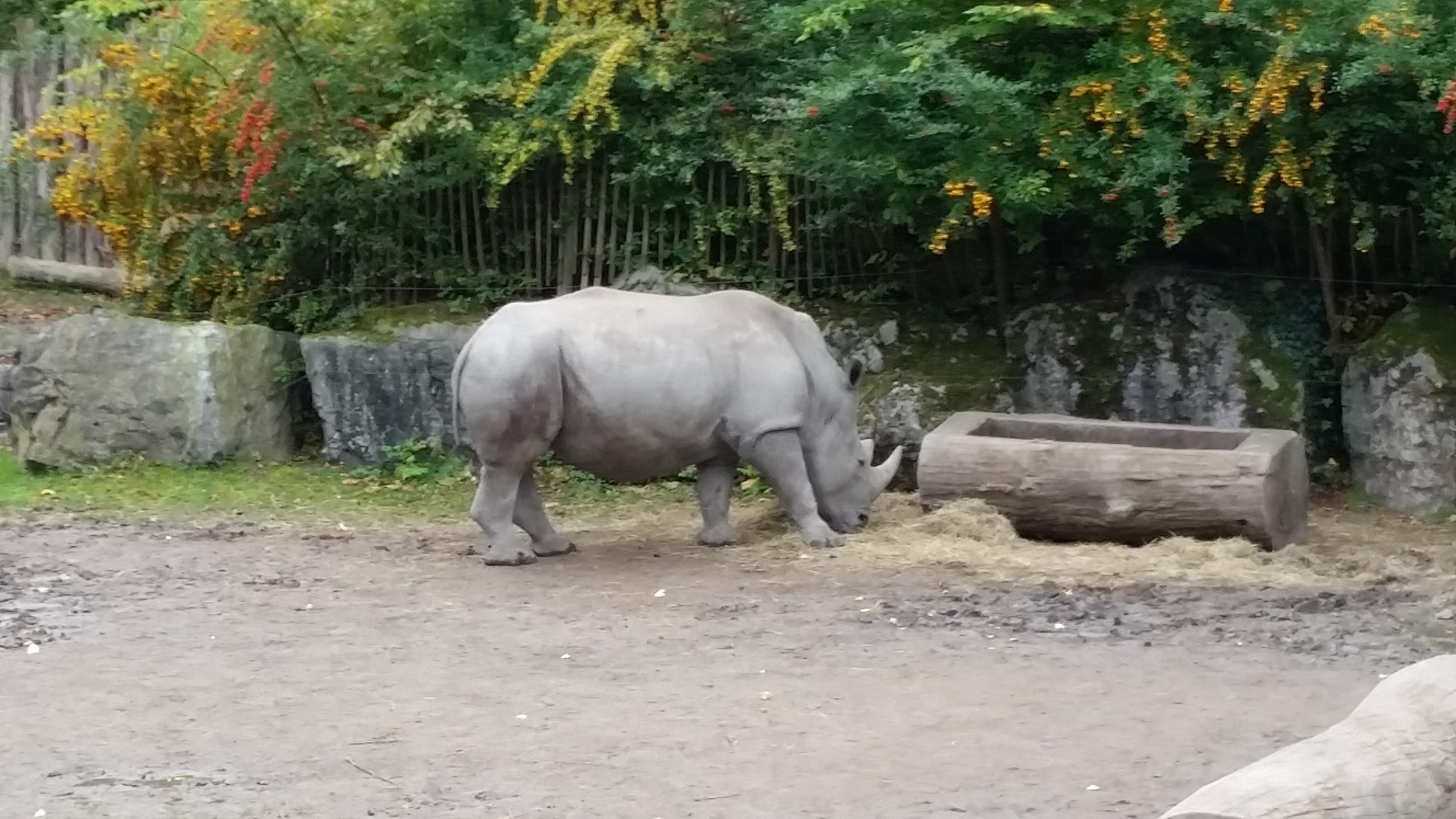 Photo n° 4 de l'avis de Adeline. fait le 08/10/2017 à 15:43