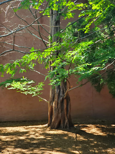 Museum «Salem Witch Museum», reviews and photos, 19 1/2 Washington Square, Salem, MA 01970, USA