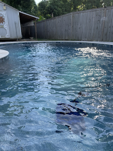 Swimming Pool Contractor «Blue Haven Pools - Charleston», reviews and photos