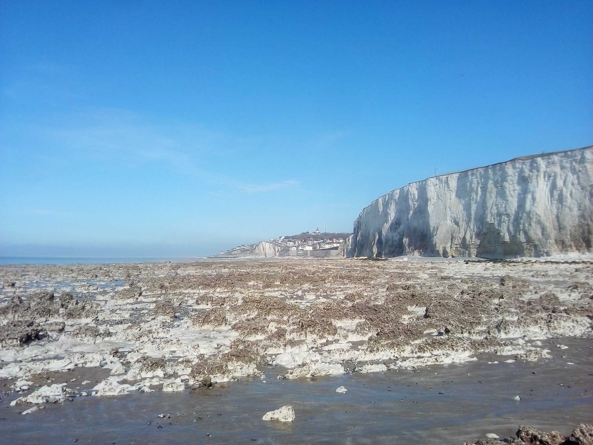Photo n° 3 de l'avis de Antonin.e fait le 20/03/2019 à 17:41
