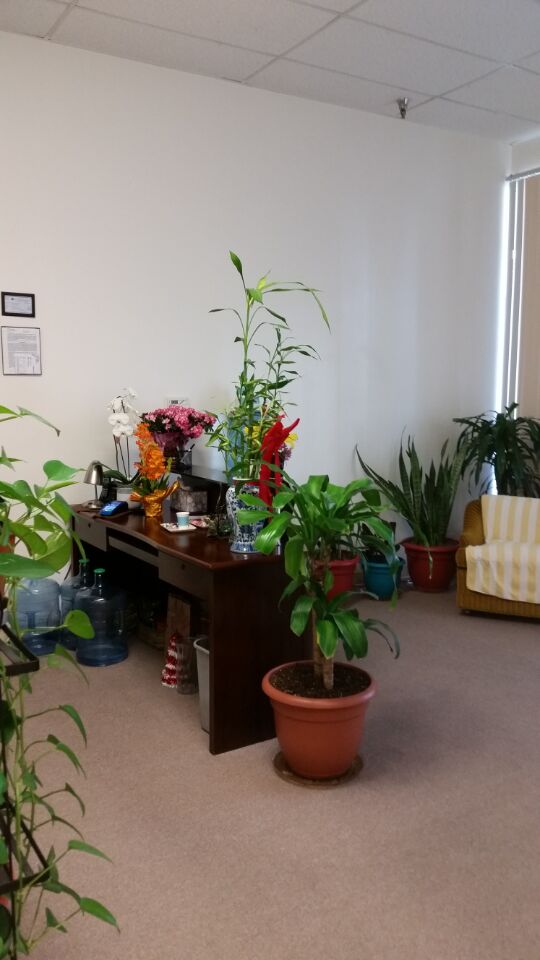 Natural Massage 93551
