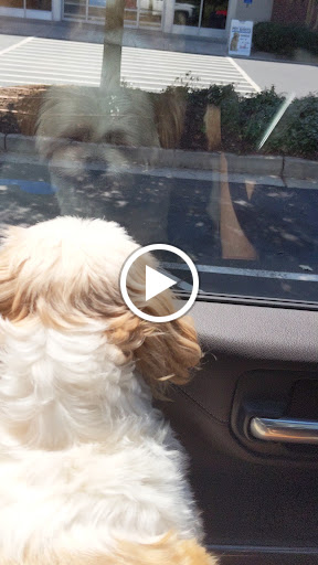 Pet Supply Store «PetSmart», reviews and photos, 1791 Oconee Connector Suite 130, Athens, GA 30606, USA